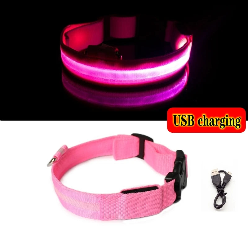 HIGH GLOW LED SAFETY COLLAR