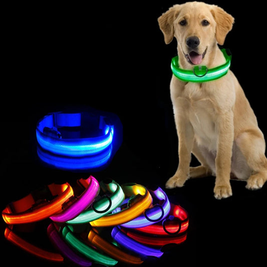 HIGH GLOW LED SAFETY COLLAR