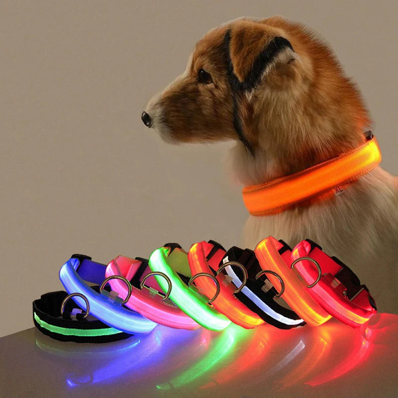 HIGH GLOW LED SAFETY COLLAR