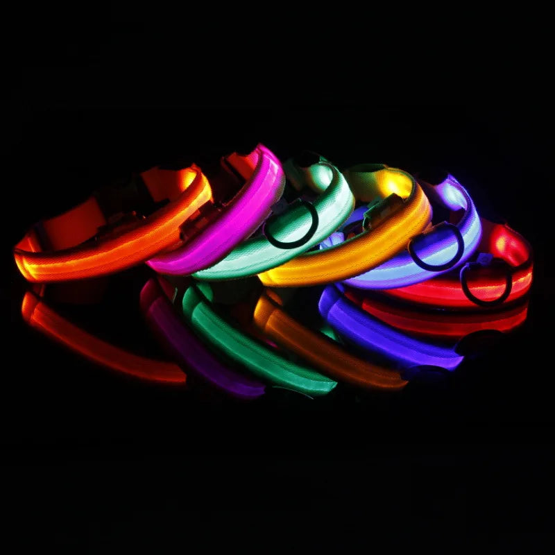 HIGH GLOW LED SAFETY COLLAR