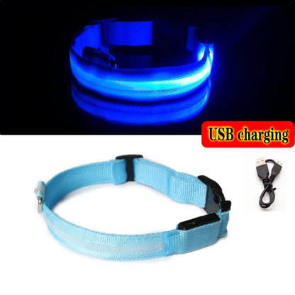 HIGH GLOW LED SAFETY COLLAR
