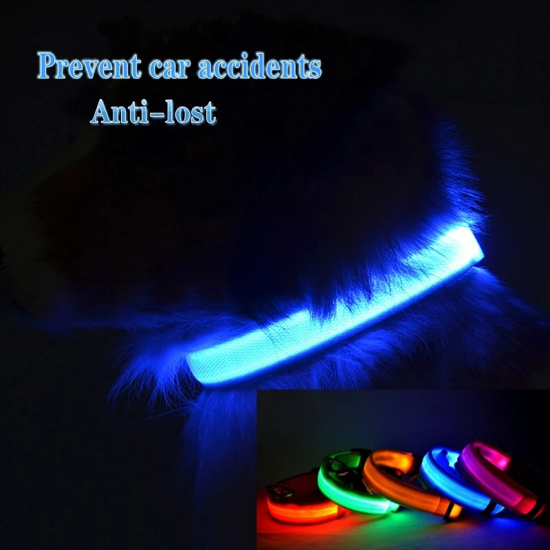 HIGH GLOW LED SAFETY COLLAR